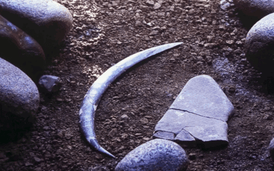 World’s oldest boomerang